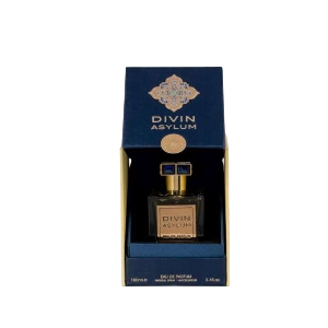 Divin Asylum