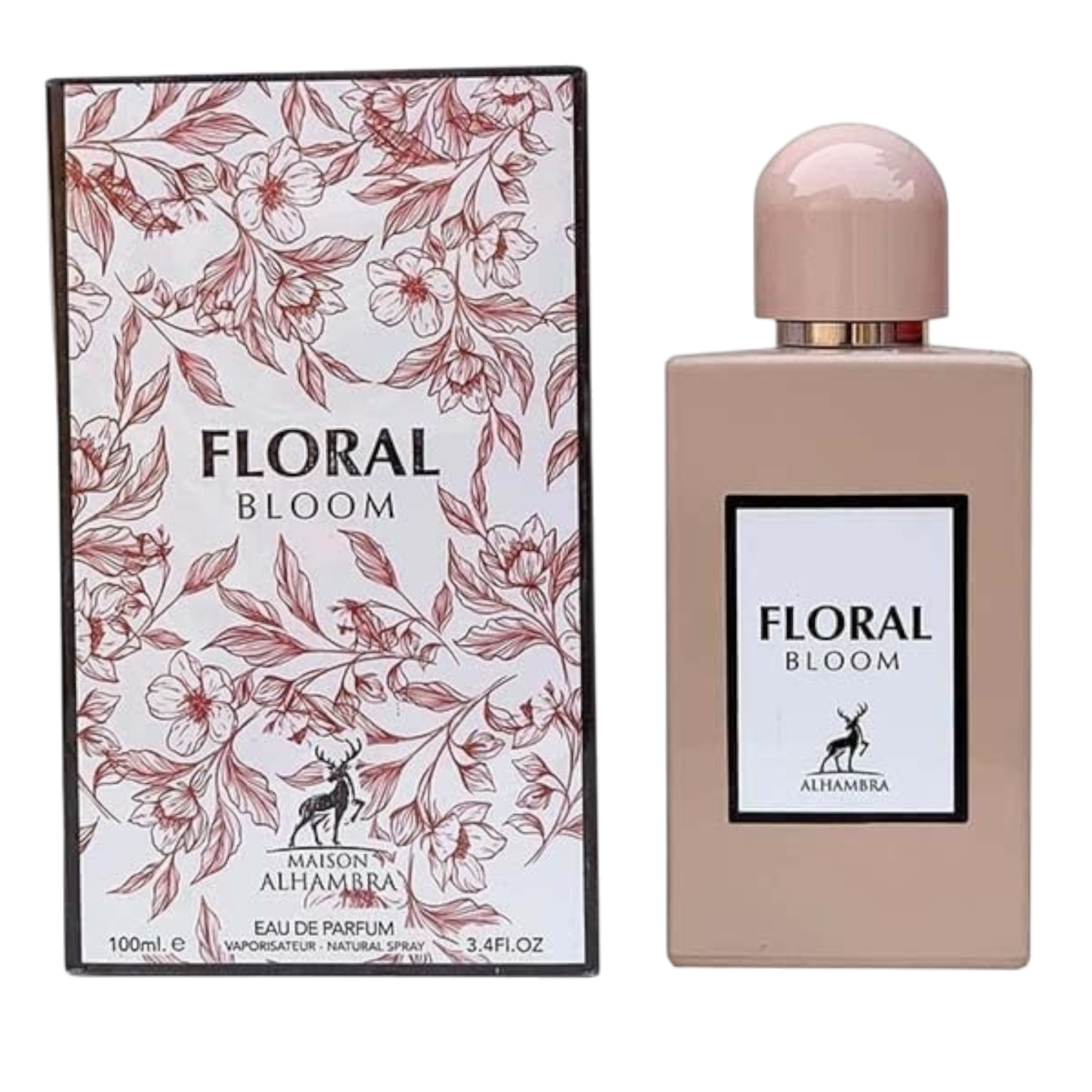Floral Bloom