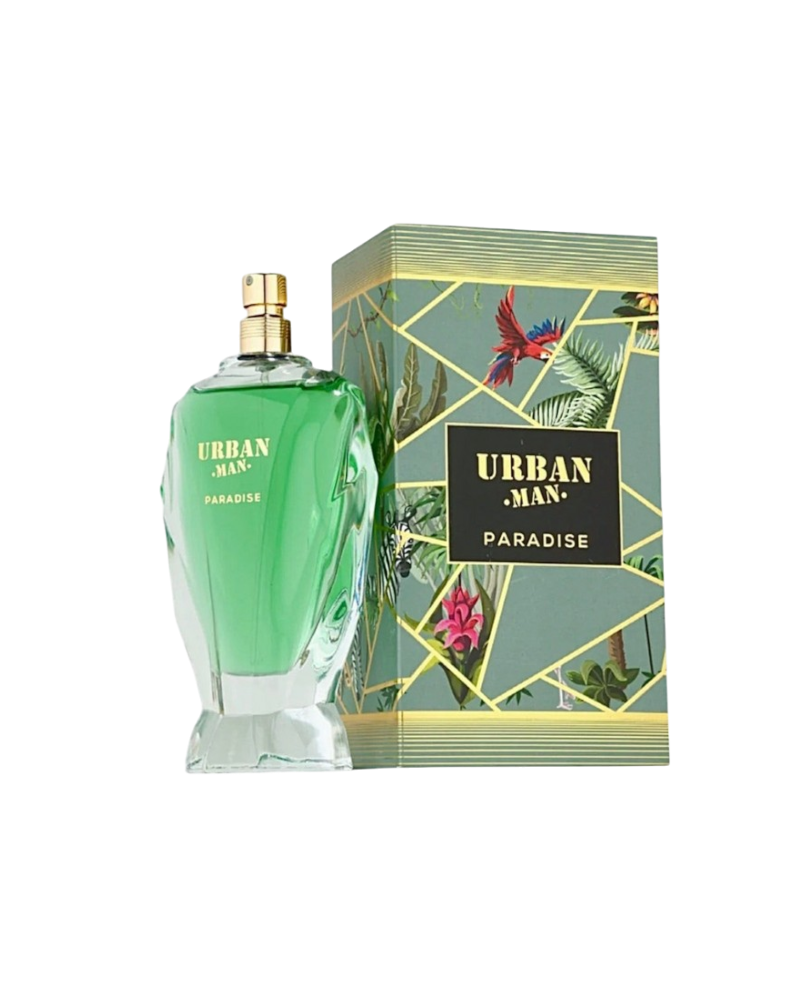 FW Urban man Paradise