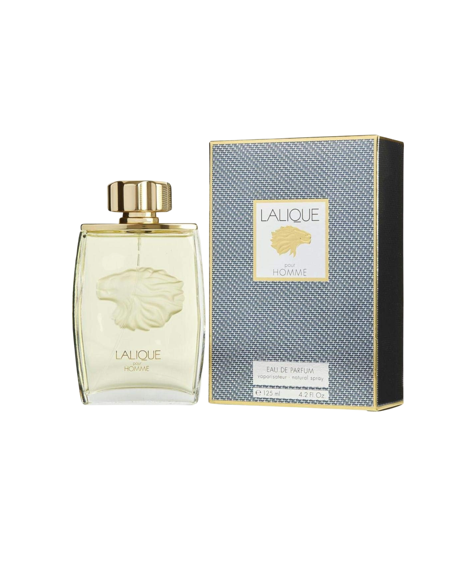 Lalique Pour Homme